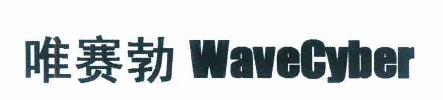 唯赛勃 em>wave/em em>cyber/em>