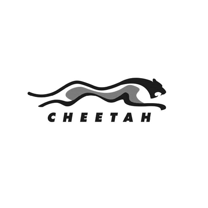 cheetah简笔画图片