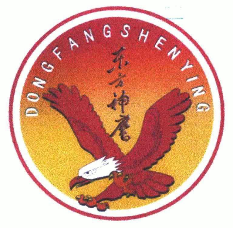  em>东方 /em> em>神鹰 /em>