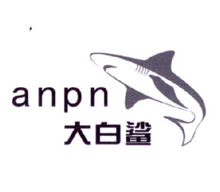 大白鲨 anpn