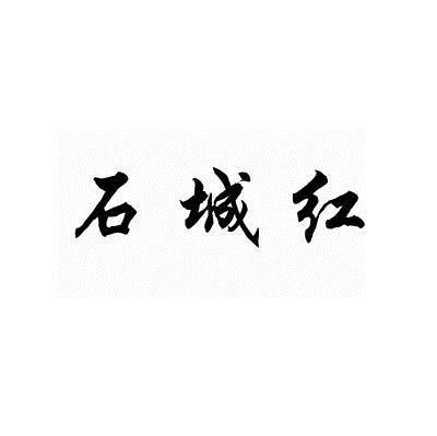 施承浩 企业商标大全 商标信息查询 爱企查