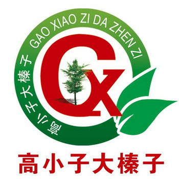  em>高小子 /em>大榛子