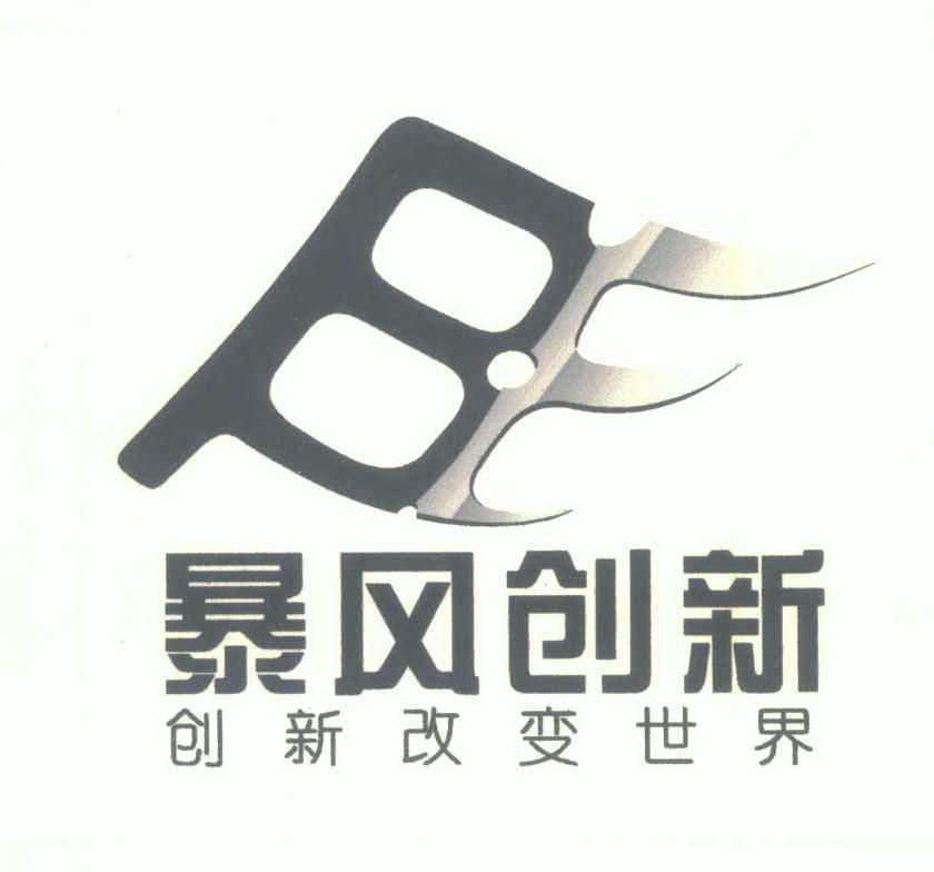 暴风创新创新改变世界_企业商标大全_商标信息查询_爱企查