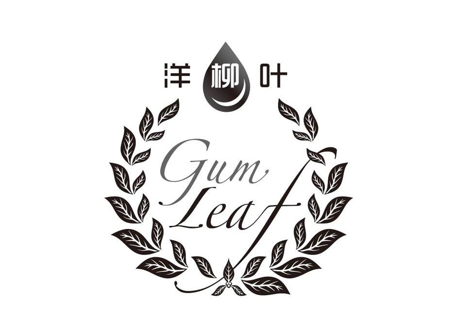 洋柳叶  em>gum /em>  em>leaf /em>