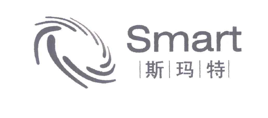 em smart /em ; em 斯玛特 /em