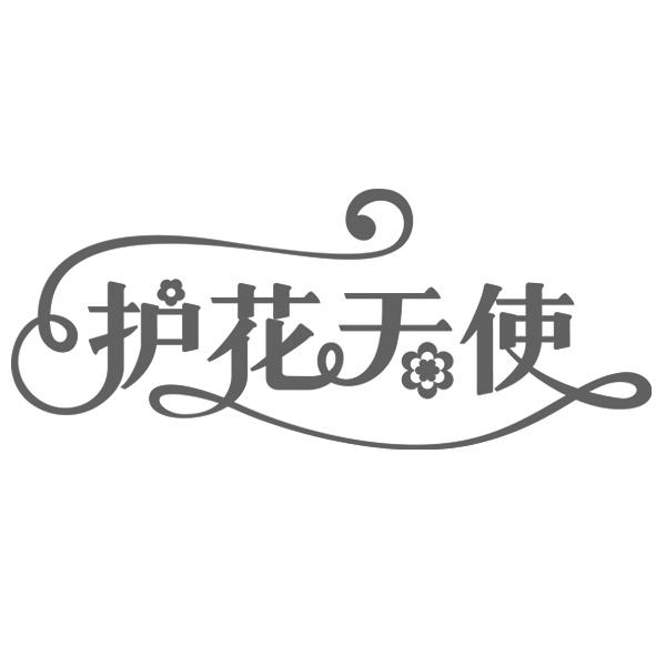  em>护花 /em> em>天使 /em>