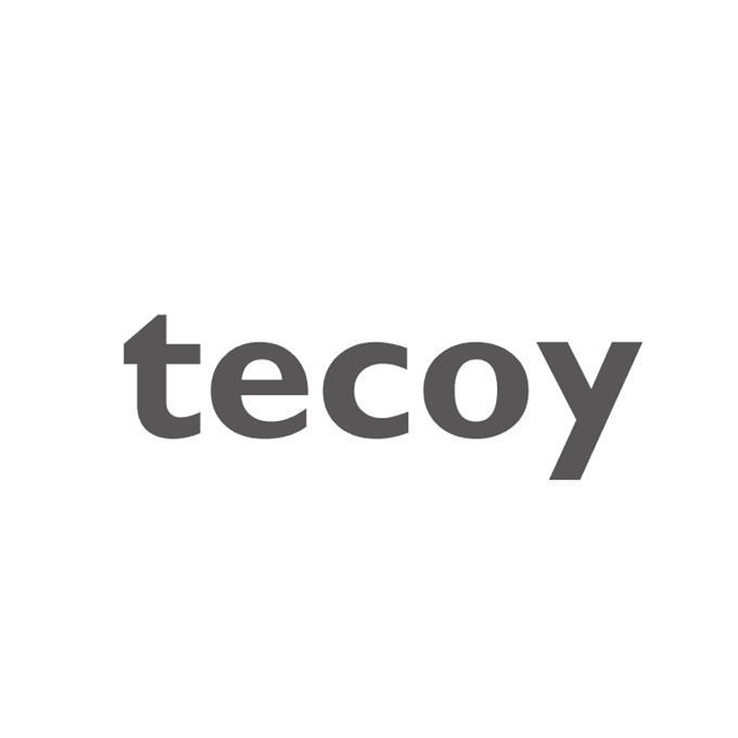 tecoy 企业商标大全 商标信息查询 爱企查