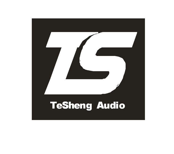 tsteshengaudio_企業商標大全_商標信息查詢_愛企查