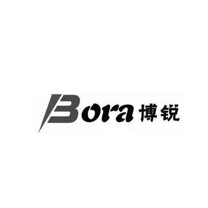 博锐 bora                                 