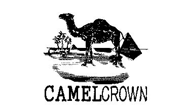 camelcrown是骆驼牌图片