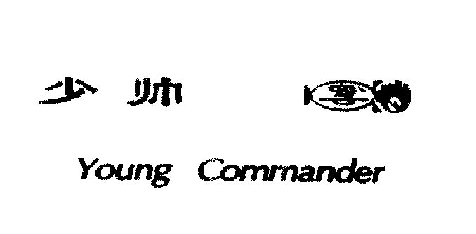  em>少帅 /em>  em>young /em>  em>commander /em>