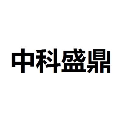 盛鼎集团(盛鼎集团总裁)