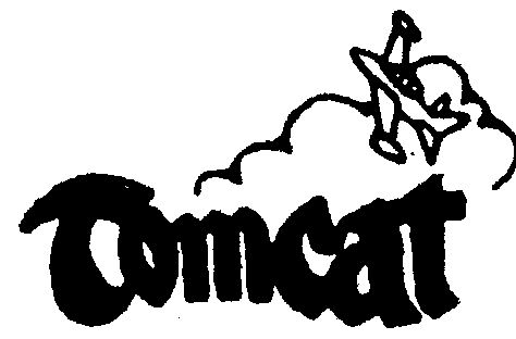  em>tomcat /em>