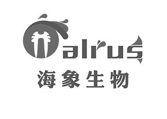 海象生物  em>alrus /em>