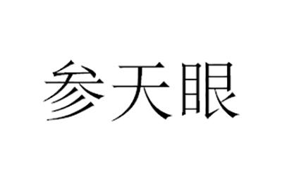 参天眼 - 商标 - 爱企查