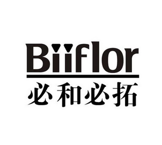 必和必拓 biiflor                          