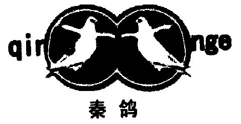 秦鸽; em>qinge /em>