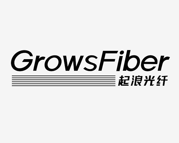  em>起浪 /em>光纤