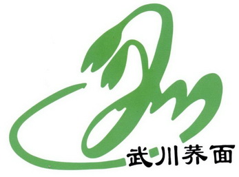 em>武川/em>荞面