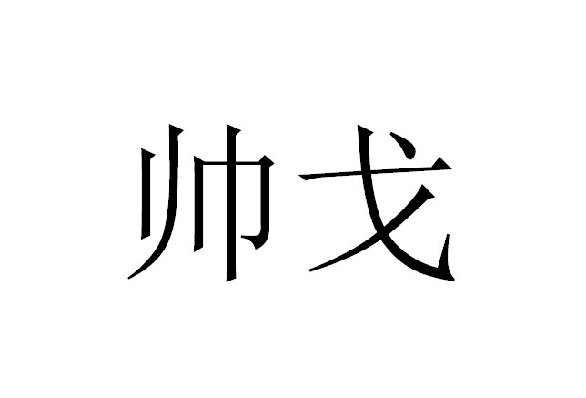  em>帅 /em> em>戈 /em>