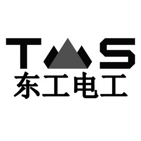 东工电工 ts                               
