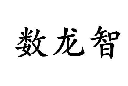 数龙智