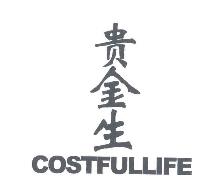 costful_企业商标大全_商标信息查询_爱企查