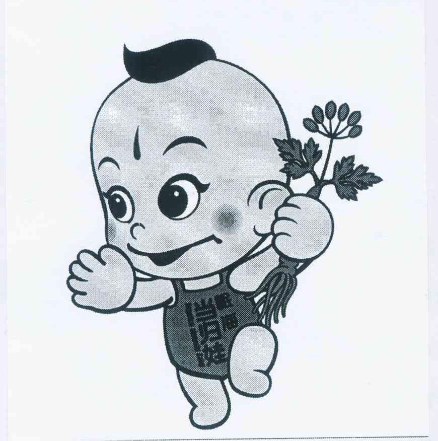 当归娃  em>岷海 /em>