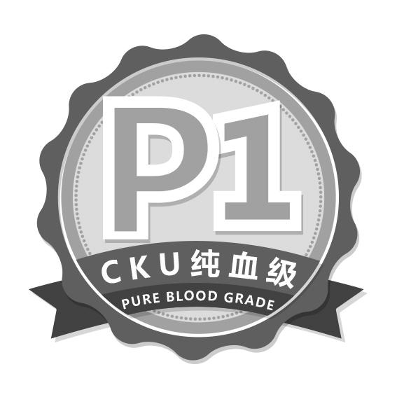 純血級 p em>1 /em> em>cku /em> pure blood grade