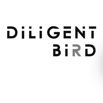  em>diligent /em>  em>bird /em>