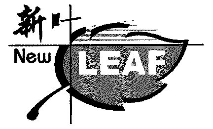 em>新 /em> em>叶 /em> em>new /em>  em>leaf /em>