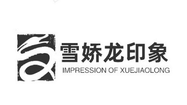 雪娇龙印象商标注册申请申请/注册号:54787255申请日期