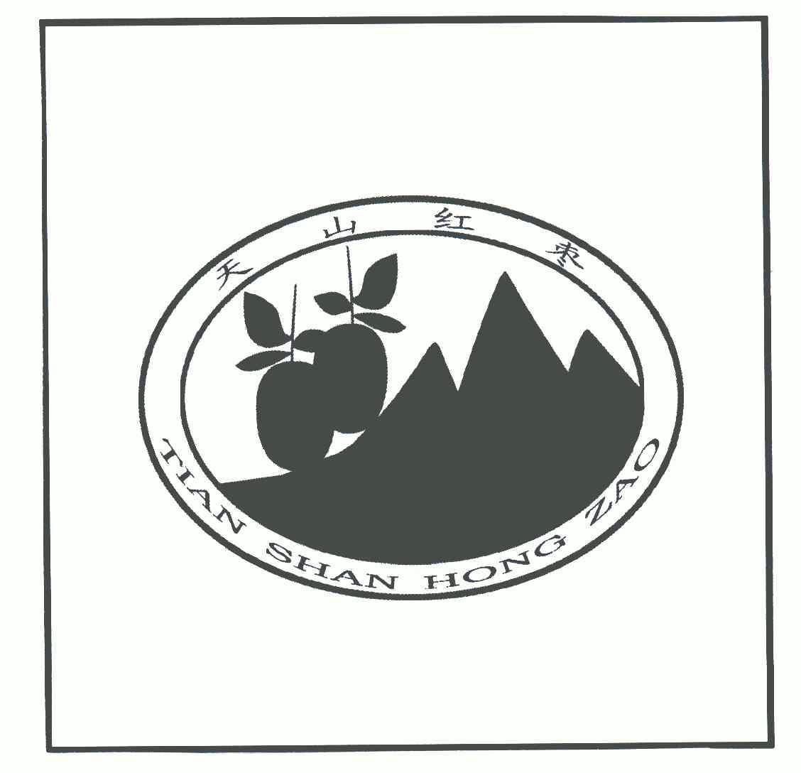  em>天山 /em>红枣