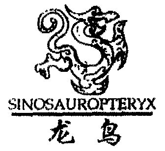 龙鸟;sinosauropteryx商标注册申请申请/注册号:1597060申请日期:2000