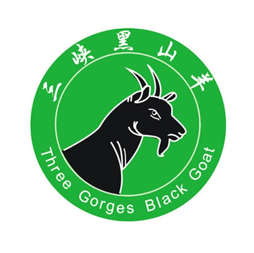 三峡黑山羊 three gorges black goat
