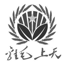  em>鸡毛 /em>上天