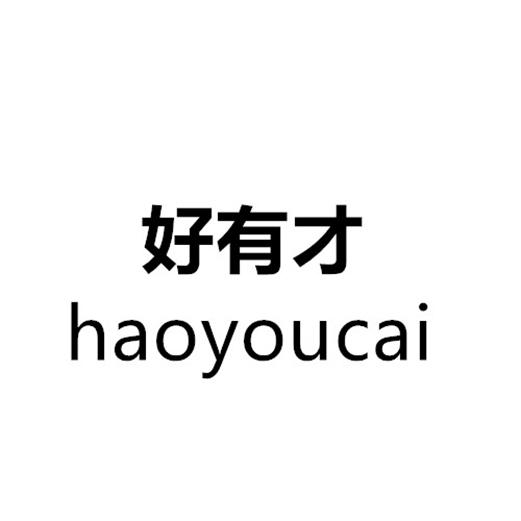  em>好 /em> em>有才 /em>
