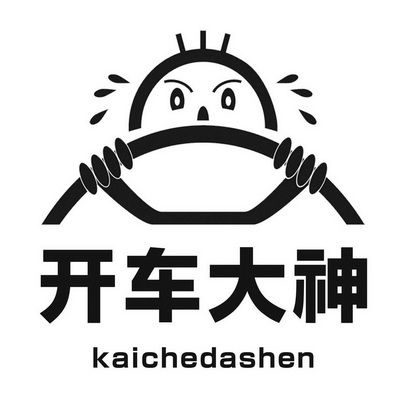 开车大神