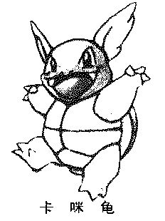  em>卡咪龟 /em>