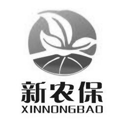  em>新农保 /em>