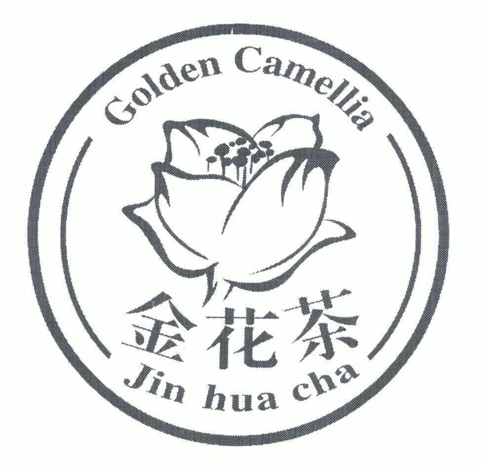  em>金花茶 /em>;jin hua  em>cha /em>; em>golden /em>  em>