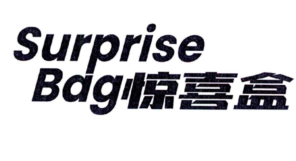 surprise bag  em>惊喜 /em> em>盒 /em>