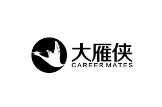 大雁俠 career mates