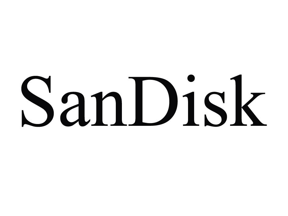 sandisklogo图片