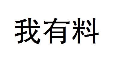 em>我 /em> em>有 /em> em>料 /em>