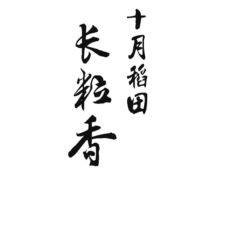 em>十月/em>稻田 em>长/em em>粒/em em>香/em>