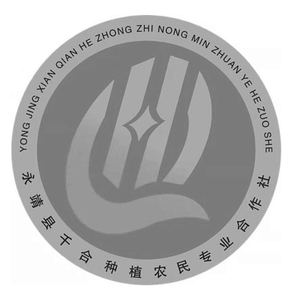 第29类-食品商标申请人:永靖县千合种植农民专业合作社办理/代理机构