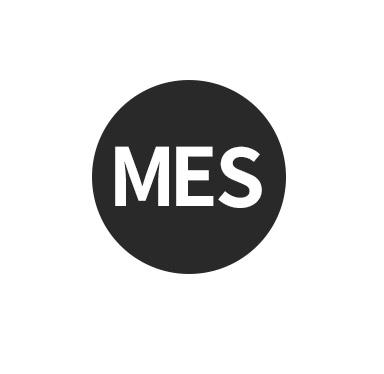 mes