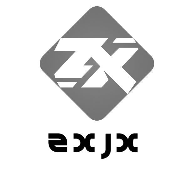  em>zxjx /em> zx