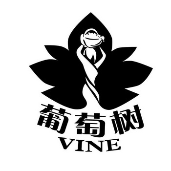 葡萄树 vine